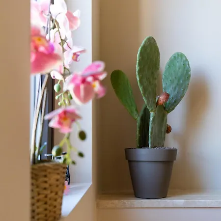 Portosole Lejlighed *